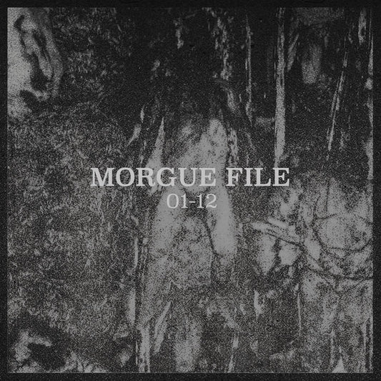 TIP OF THE WEEK 11/24: Morgue File - Files 01-12 Compilation CS (Attic Shrines)