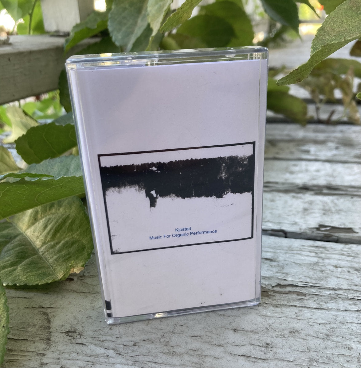 Kjostad - Music For Organic Performance CS
