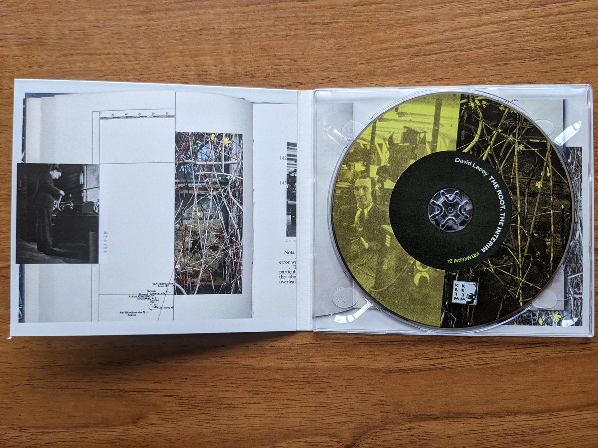 David Lacey - The Root, The Interim CD