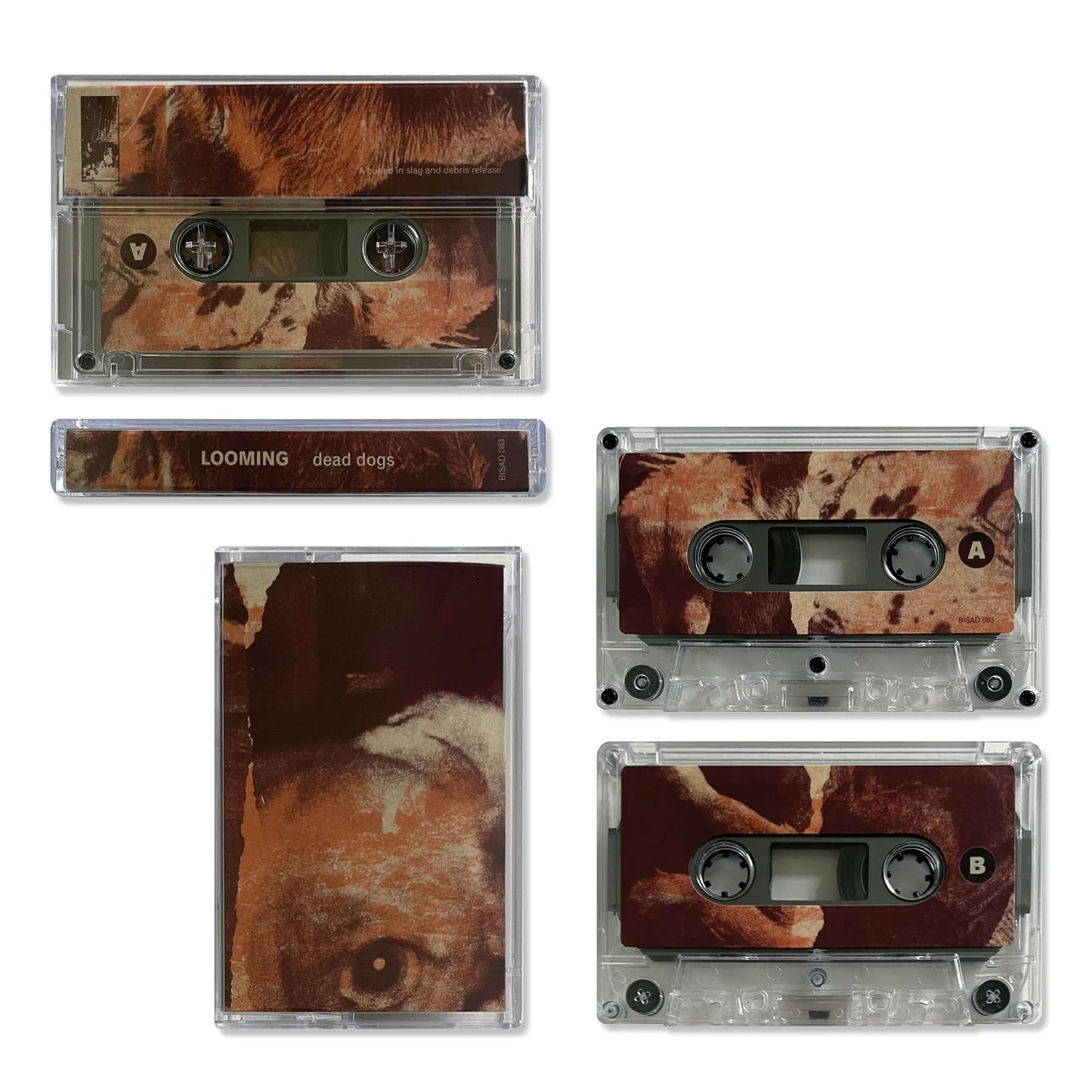 LOOMING - Dead Dogs CS