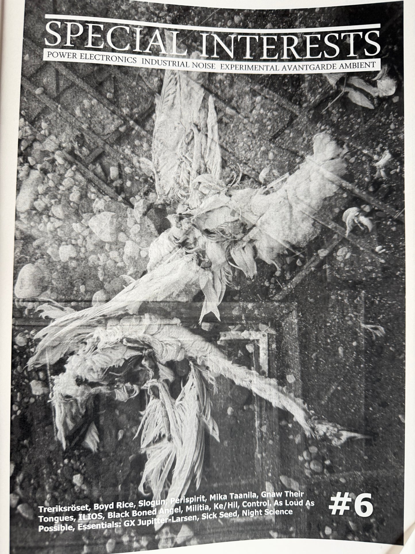 Special Interest #6 Zine