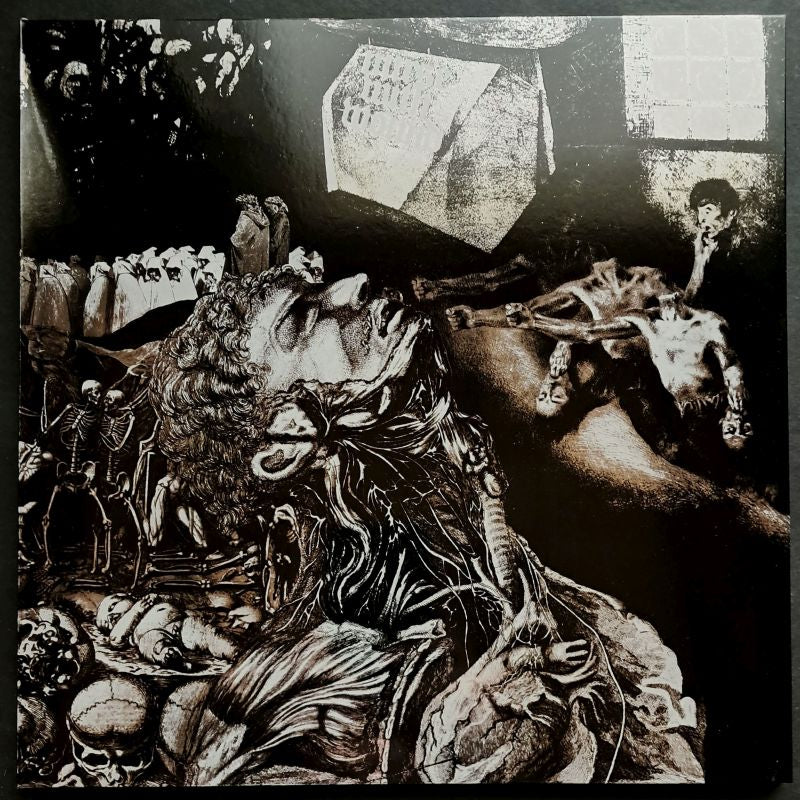 NURSE WITH WOUND - Merzbild Schwet LP