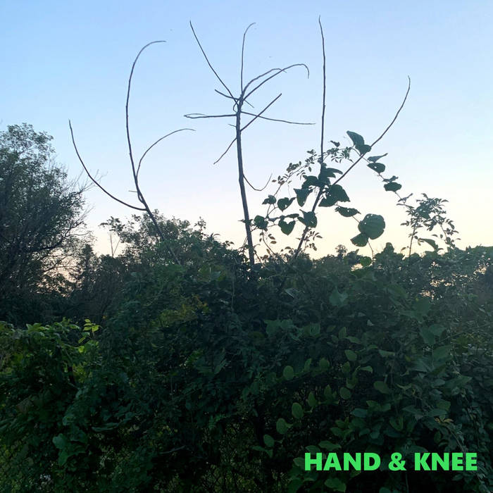 Hand & Knee - Scopaesthesia CDr