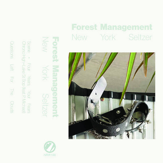 Forest Management - New York Seltzer CS