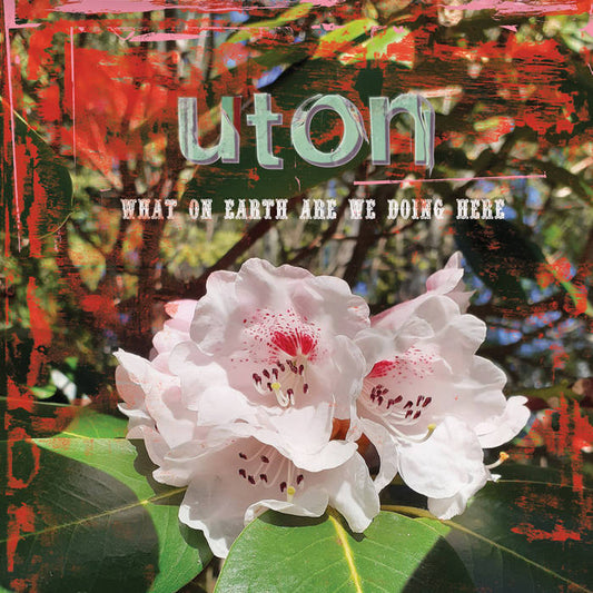 UTON - What On Earth Are We Doing Here CD