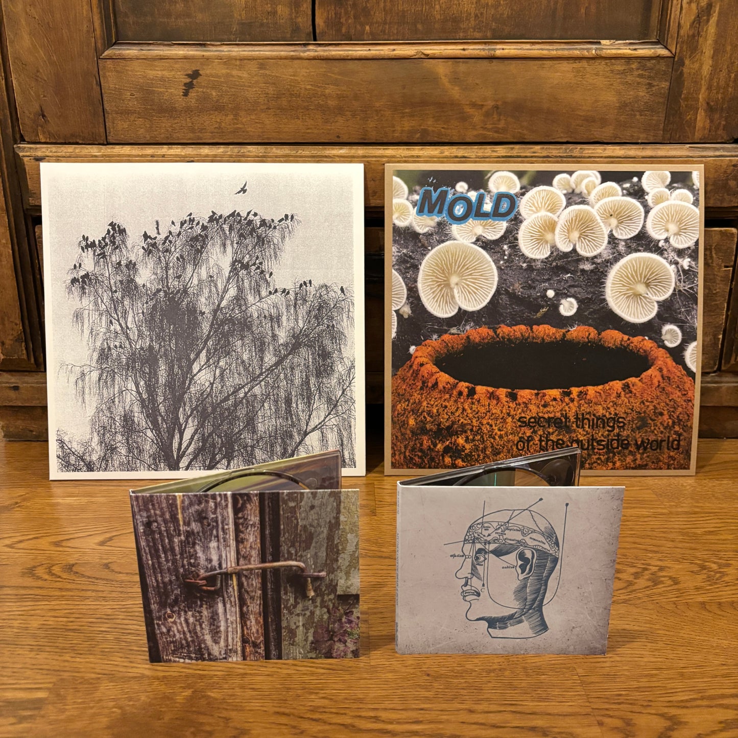 Satatuhatta December bundle