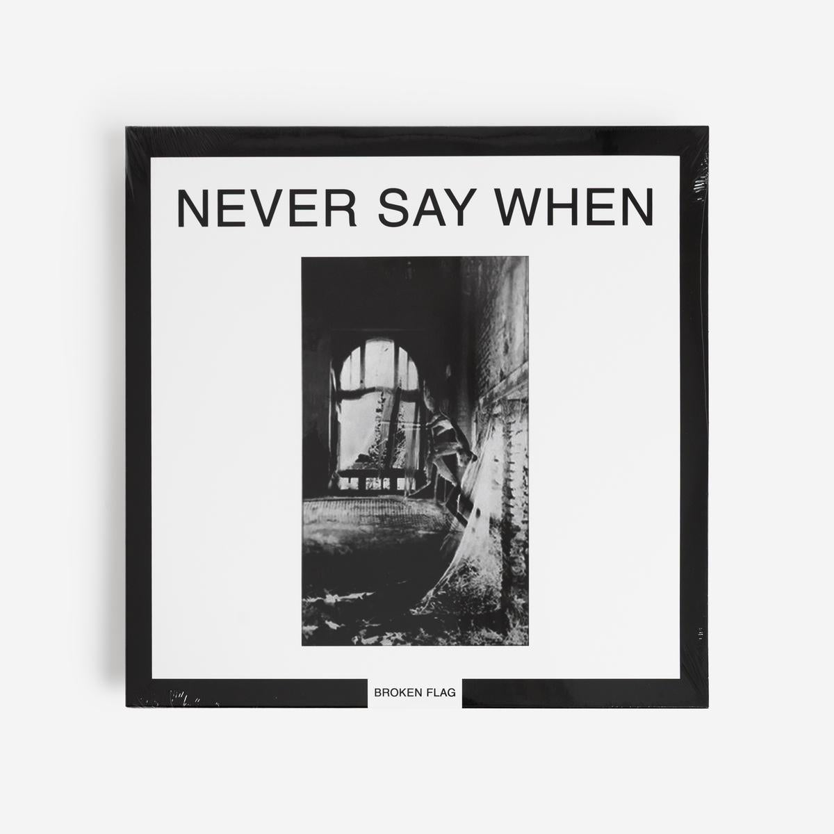 V/A - Never Say When 2LP