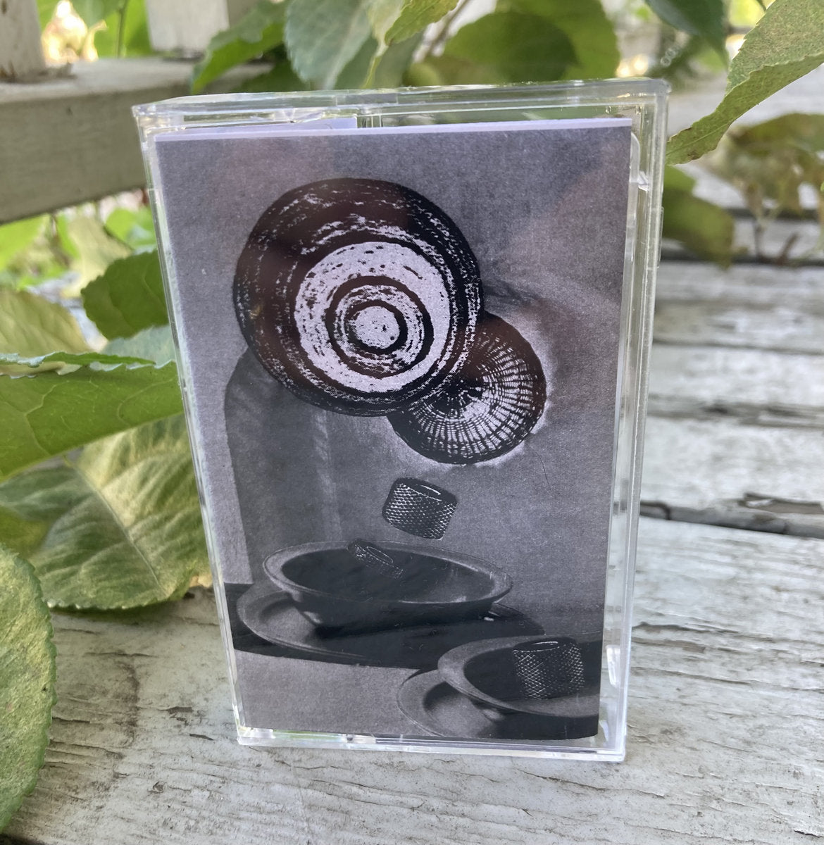 Karen Constance & Dylan Nyoukis - The Final Fumes From The Soup Bowls CS