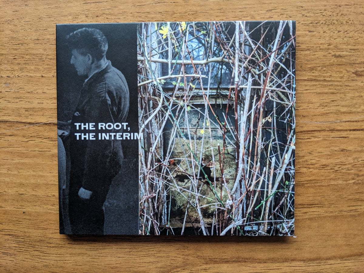 David Lacey - The Root, The Interim CD