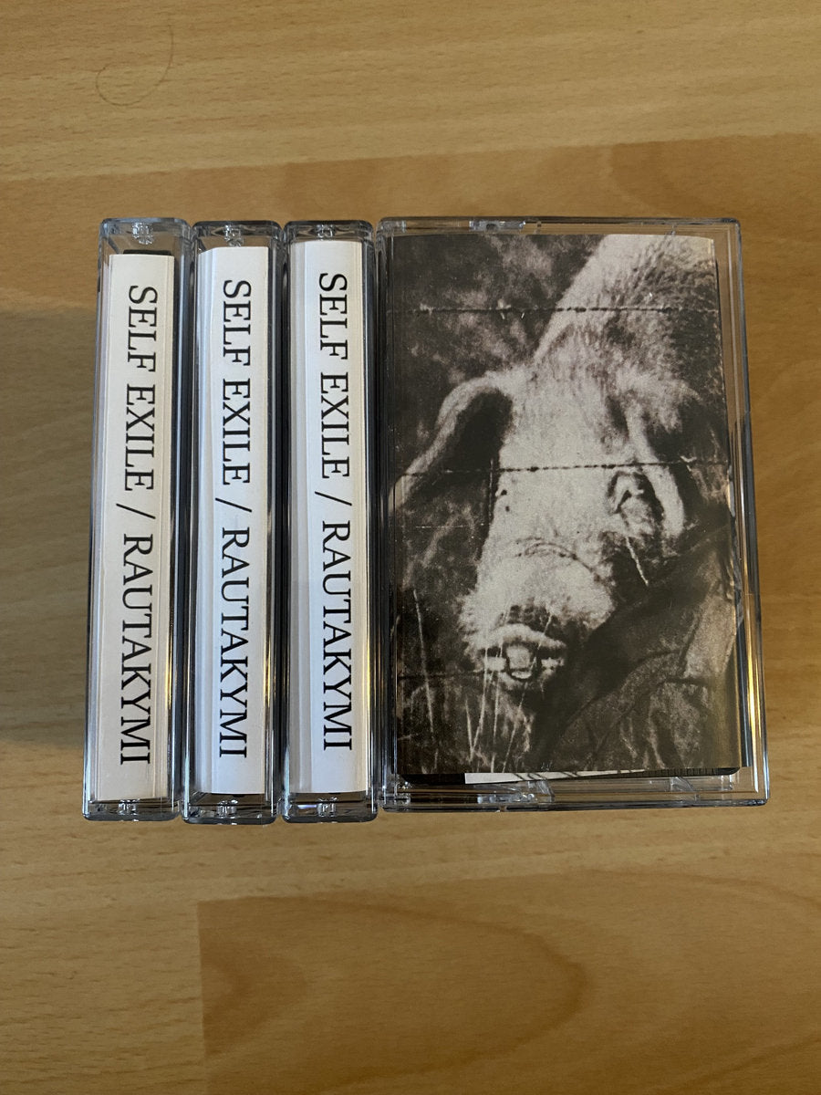Self Exile / Rautakymi - Split CS