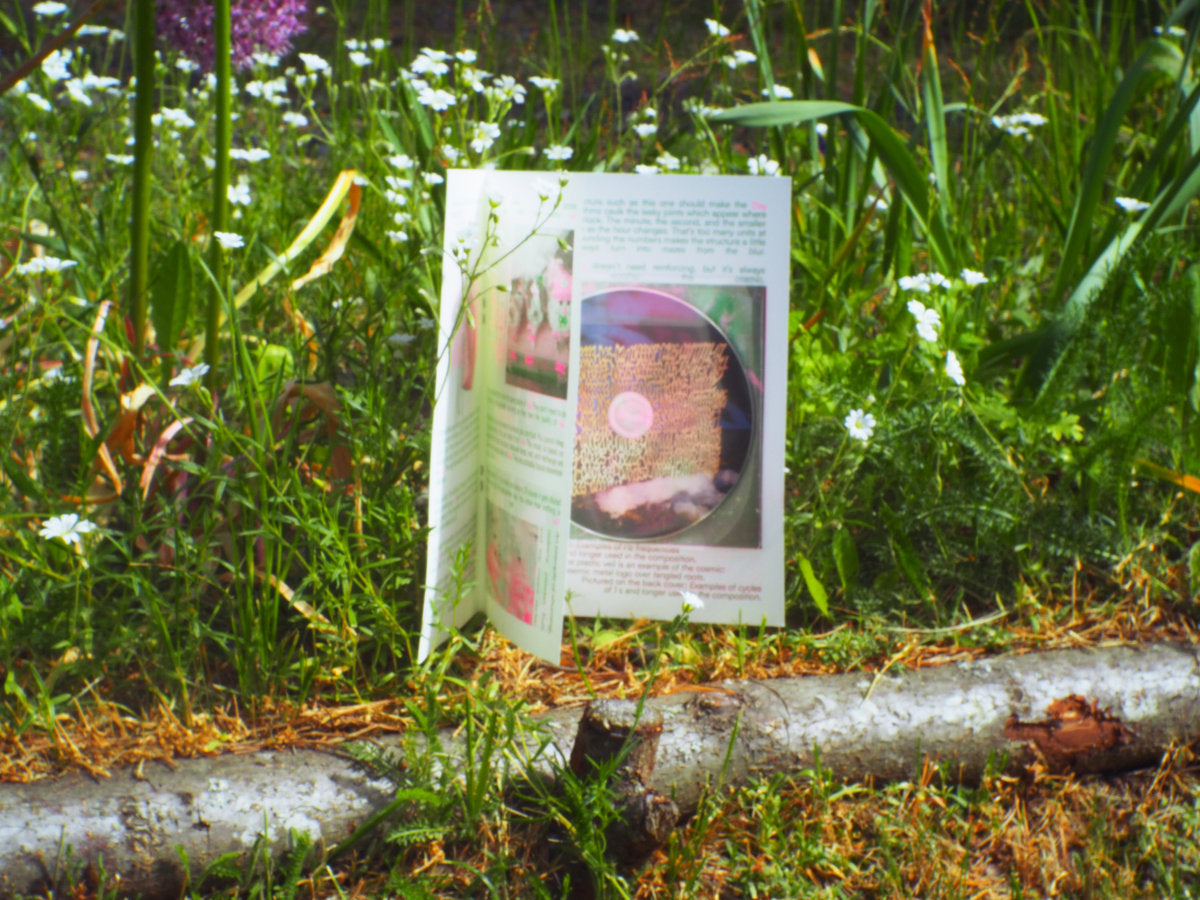 Olli Aarni - Day CD+zine