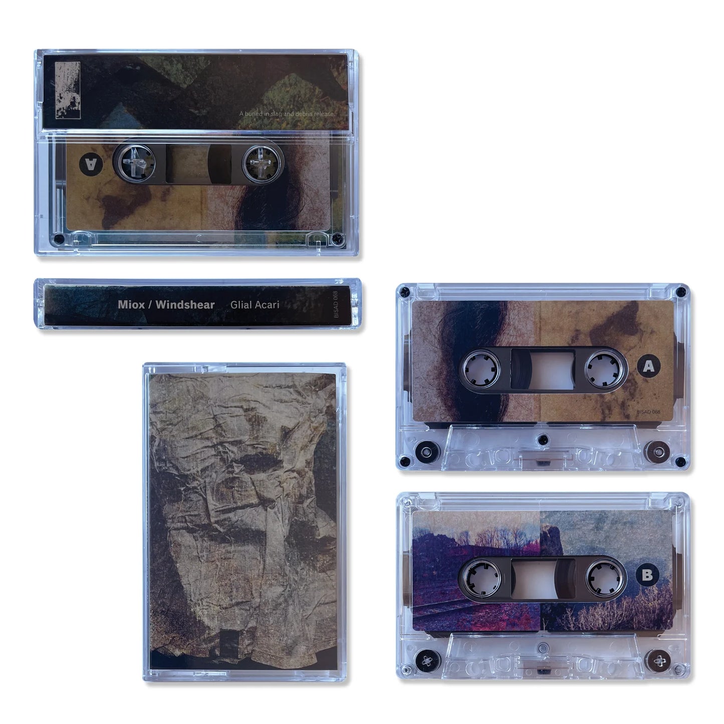 Miox / Windshear - Glial Acari CS