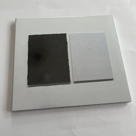 Jackson-Pratt & Shredded Nerve - Split CD