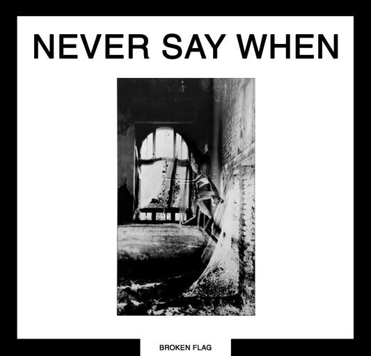 V/A - Never Say When 2LP