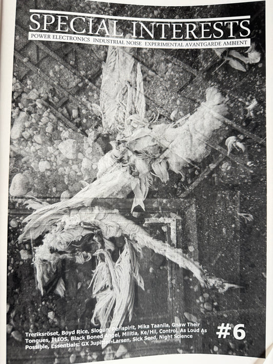 Special Interest #6 Zine