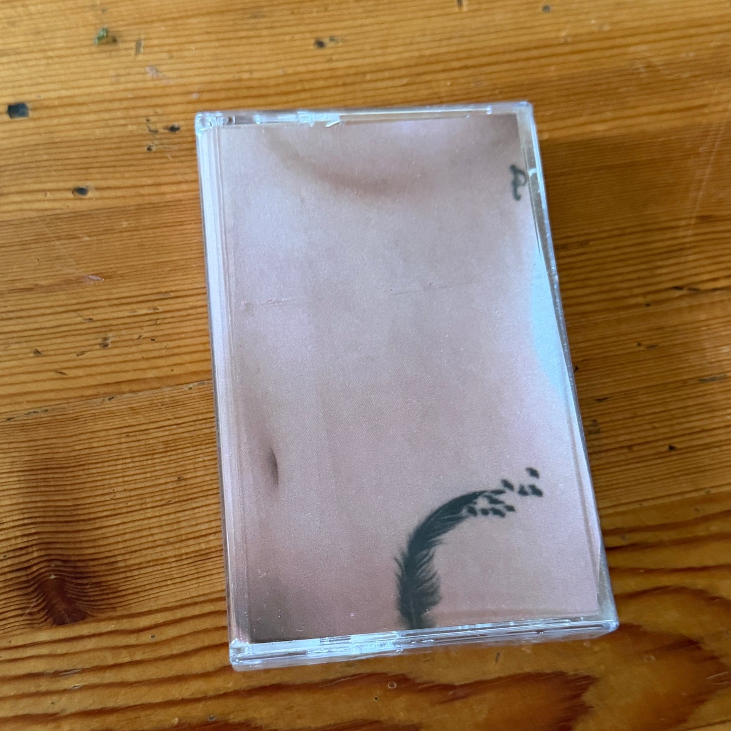 Erotophobia - Sophisticated Flesh Enjoyment CS