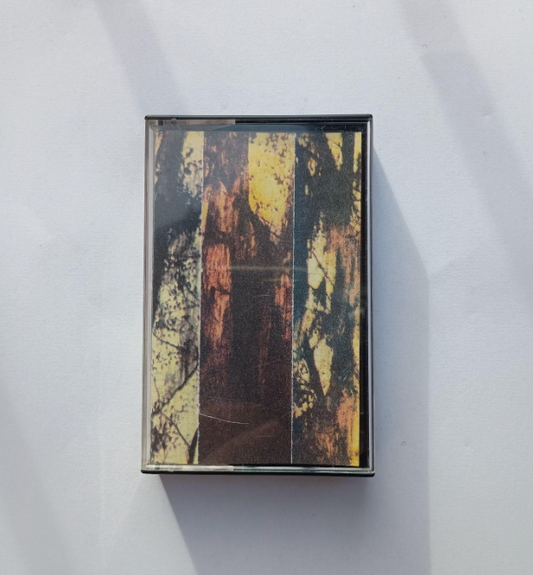 L. Linebacker - Vibratory noise in anthropogenic habitats CS