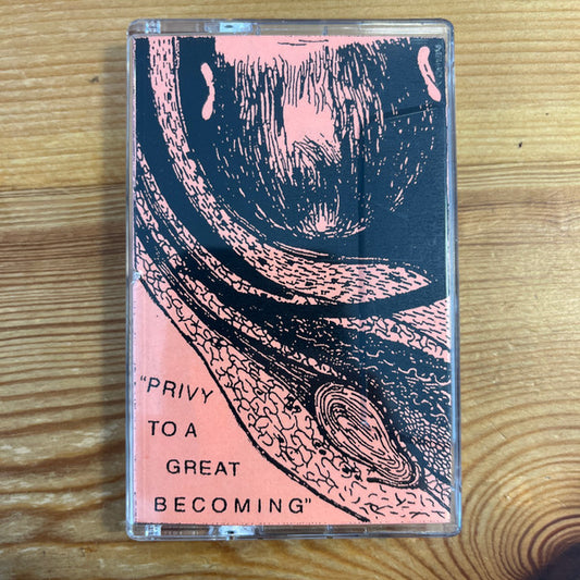 Ants In The Afterbirth – Privy To A Great Becoming CS