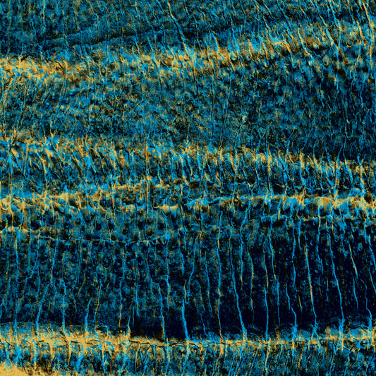 Jarl - Misophonia Colours CD