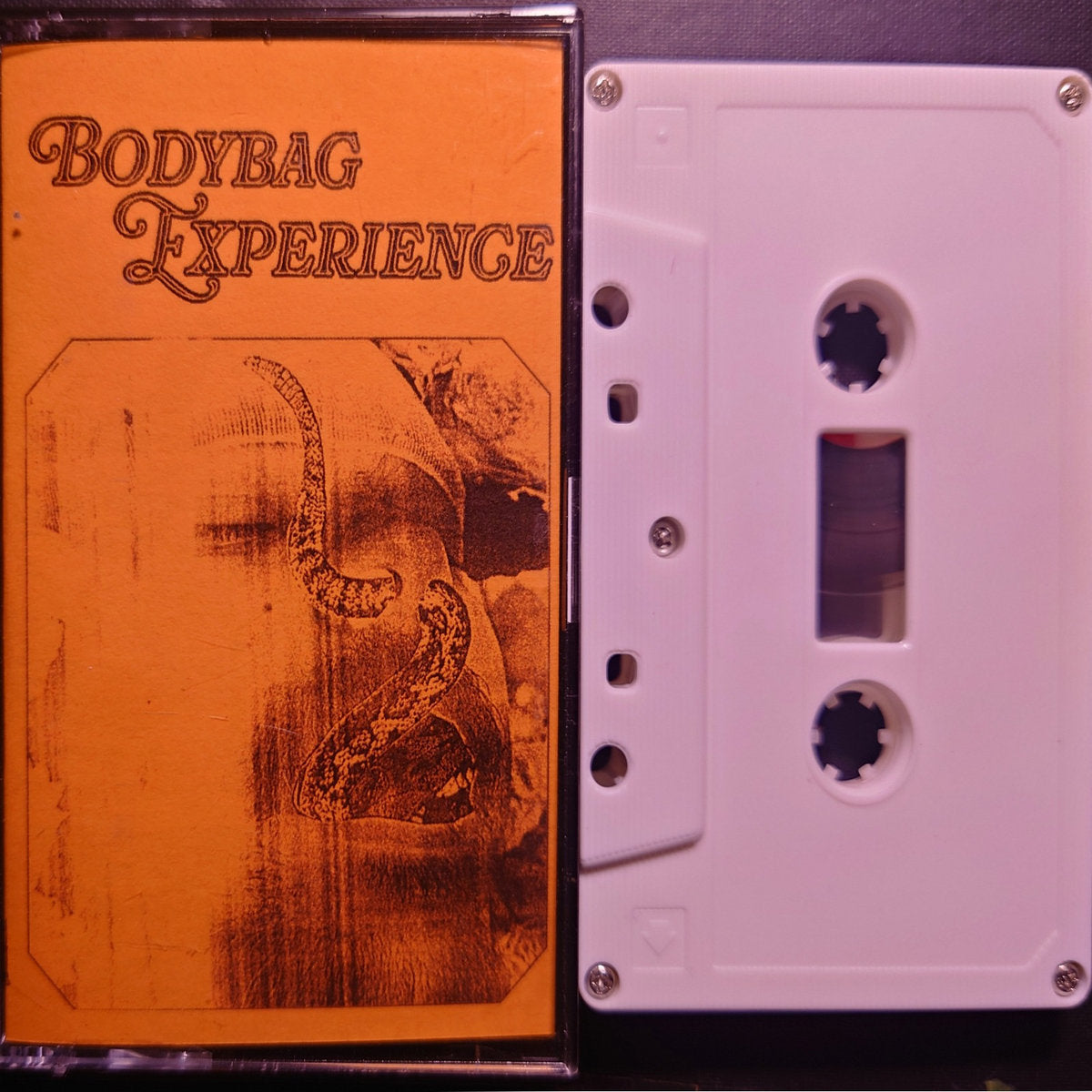 Bodybag Experience CS