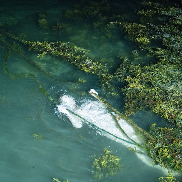 Pietu Arvola - Meidän täytyy valvoa jottemme nukkuisi, sillä maailma on liukas LP