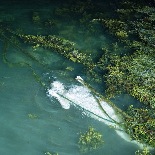 Pietu Arvola - Meidän täytyy valvoa jottemme nukkuisi, sillä maailma on liukas LP