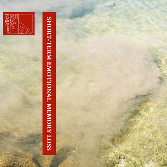 Șerban Ilicevici - short-term emotional memory loss CS