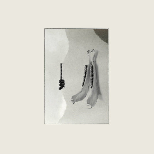 The Siamese Pearl / Drowning The Virgin Silence - Lepra Selenic CS