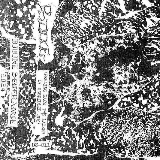 Puddle - Peeling Back The Layers Of Unbridled Joy CS