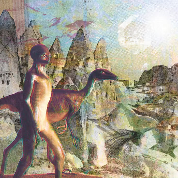 Timelash - Feral Lands & Forbidden Cities LP