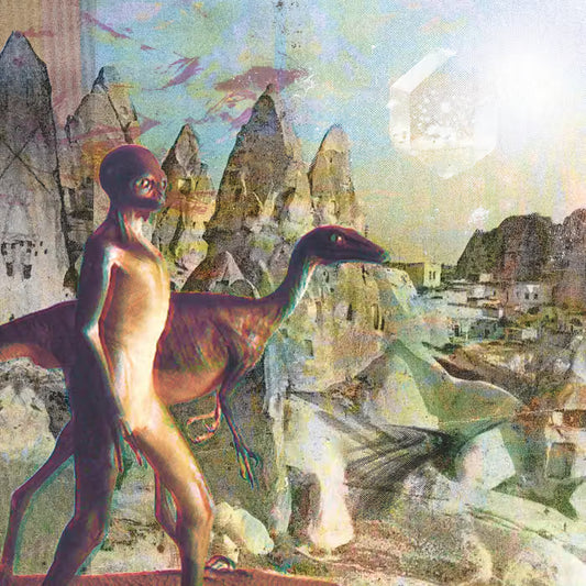 Timelash - Feral Lands & Forbidden Cities LP