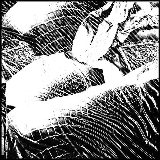 Anonymous Masturbaudioum - Fetish Vortex CD