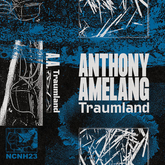 Anthony Amelang – Traumland CS