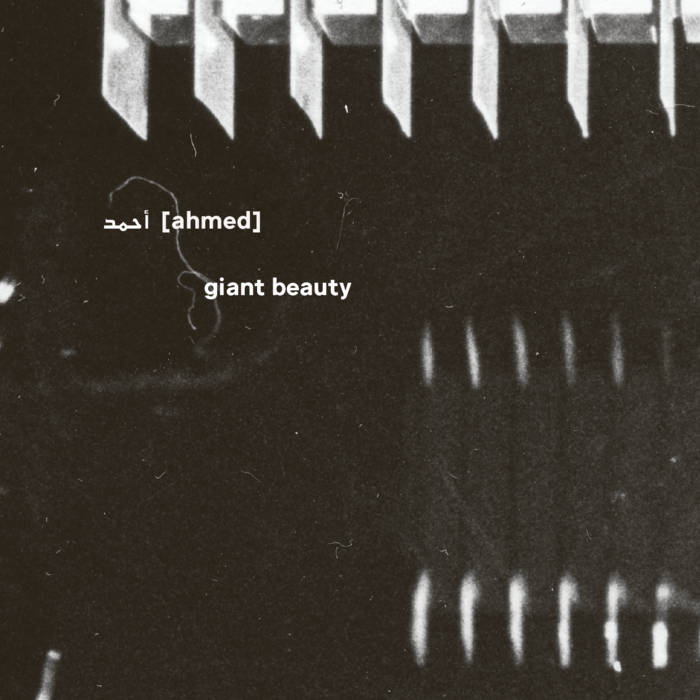 أحمد [Ahmed] - Giant Beauty 5CD