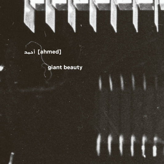 أحمد [Ahmed] - Giant Beauty 5CD