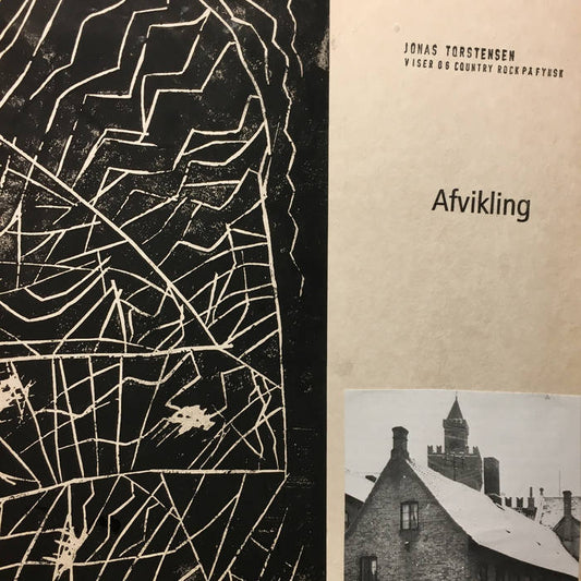 Jonas Torstensen - Viser og countryrock på fynsk LP