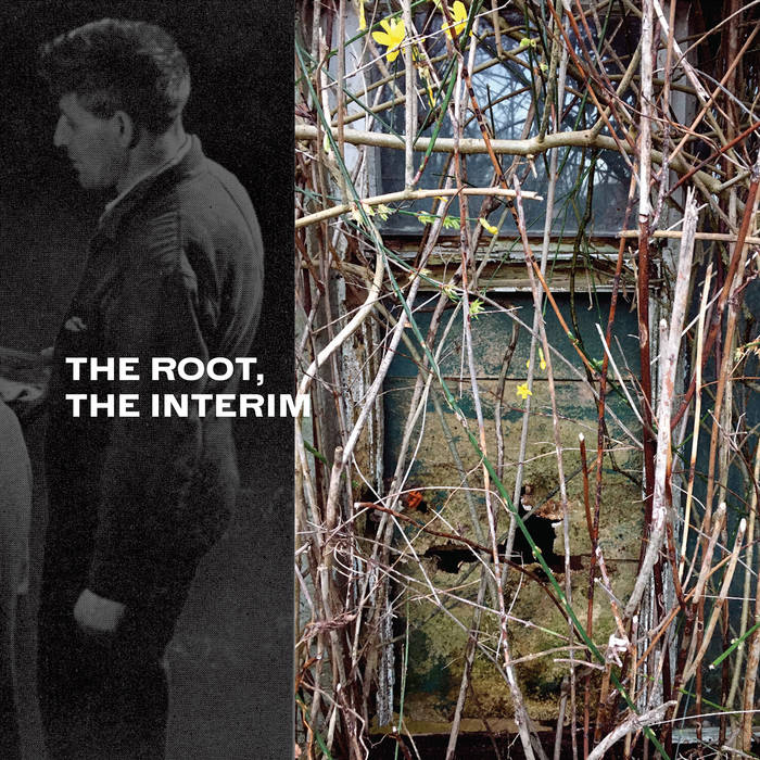 David Lacey - The Root, The Interim CD