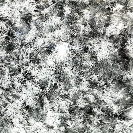 Self Exile - Winter Fingers CDr