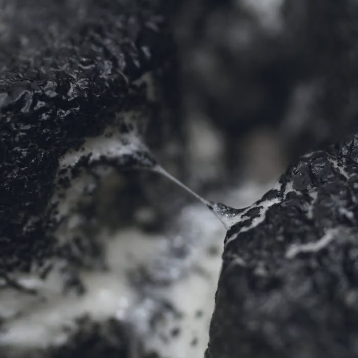 Eloine - Moldy Cushions CD