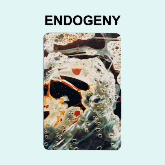 Gen Ken Montgomery - Endogeny CD