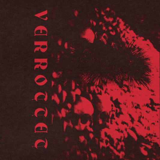 Verrottet - Svønd CS