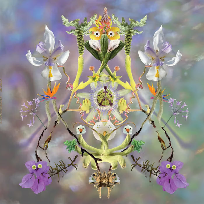 Maibaum - Sumer Is Icumen In LP