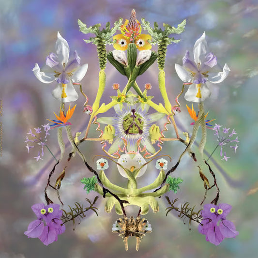 Maibaum - Sumer Is Icumen In LP
