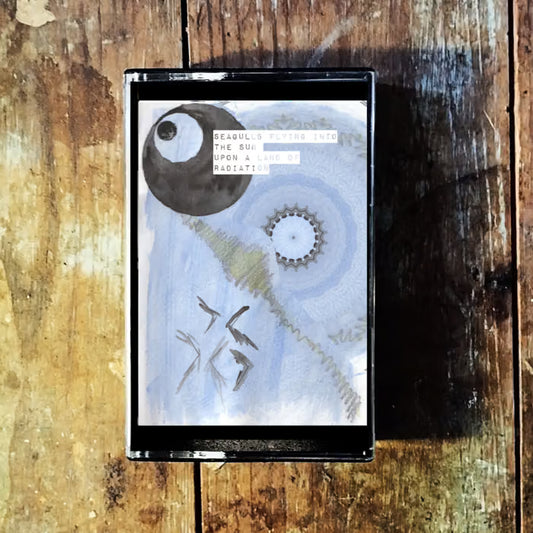 Ahola & Silander / F.M.S. - Seagulls Flying Into The Sun Upon a Land of Radiation CS