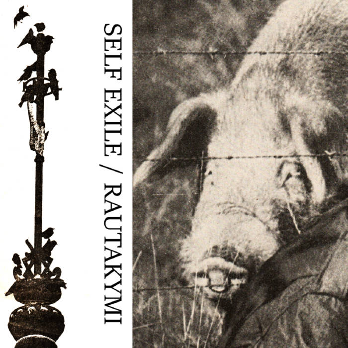Self Exile / Rautakymi - Split CS