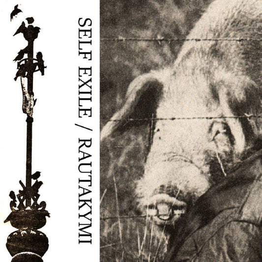 Self Exile / Rautakymi - Split CS