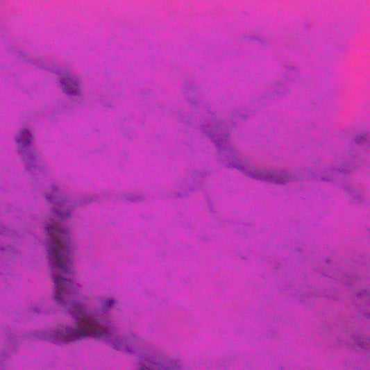 +DOG+ - Temporary Gardens CDr