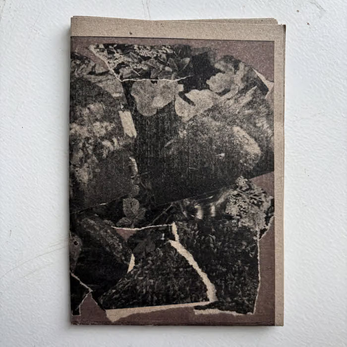 Delphine Dora - Multitudes I and II 2CS