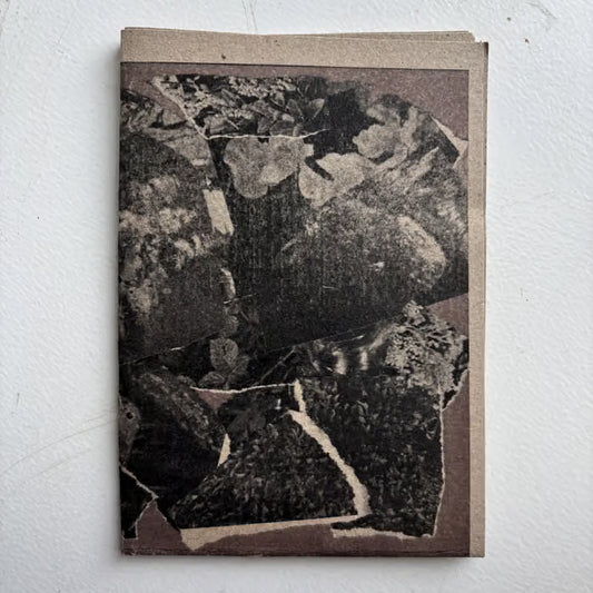Delphine Dora - Multitudes I and II 2CS
