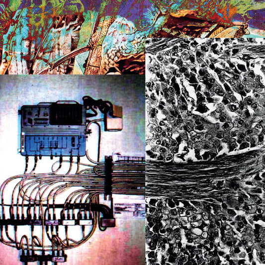 Umpio - Sin Memoria CD